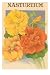 Nasturtium Seed Packet Premium Poster Print, 16x24