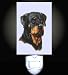 Rottweiler Portrait Decorative Night Light