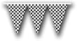 NASCAR Checkered 25-Foot Party Pennant Flag