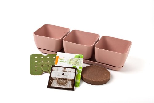 Simple Garden Junior SGJR-3PC-ROSE Oregano, Basil and Cilantro Herb Garden Kit, Rose