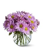 Teleflora's Delightfully Daisy