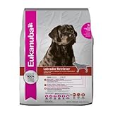 EUKANUBA LABRADOR RETRIEVER 36 LB BG