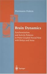 Brain Dynamics