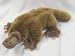 PLATYPUS PLUSH TOY 18"