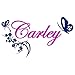 Butterfly & Flower Vine with Custom Personalized Name - Removable Vinyl Wall Art Decal Sticker Decor