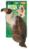 Animal Planet Dog Toy, Vulture, Large