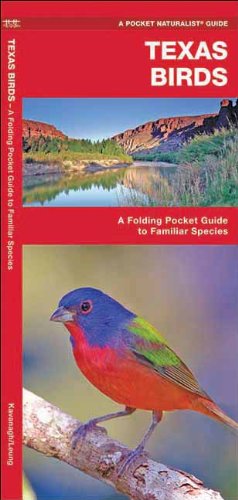 Texas Birds: A Folding Pocket Guide to Familiar Species (Pocket Naturalist Guide Series)