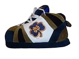 Notre Dame Fighting Irish