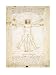 Human Proportions-Vitruvian Man by Leonardo Da Vinci Fine Art Print / Poster 15.75 x ...