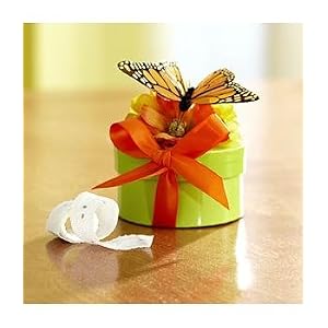 butterfly garden seed kit