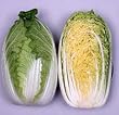 Cabbage Chinese Mini Kisaku Seeds 2 Grams