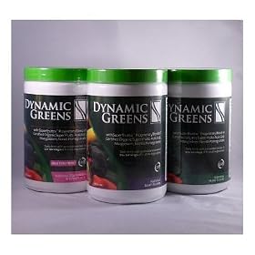 Dynamic Greens GLUTEN FREE STRAWBERRY/KIWI, Certified Organic w/ Acai, Gogi, Mangosteen, Noni & Pomegranate Super Fruits by Nutrition Dynamics