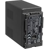 Panasonic VW-VBG6 Battery
