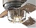 Hunter Mandalay Light Kit Brushed Nickel