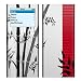 Zen Design Decal Skin Sticker for Apple iPod nano 2G (2nd Generation) 2GB/ 4GB/ 8GB Player