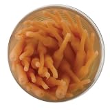 Berkley Jar Gulp! Alive! 2" Fish Fry, Natural