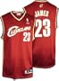 LeBron James Reebok NBA Replica Maroon Cleveland Cavaliers Youth Jersey