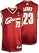 LeBron James Cleveland Cavaliers Replica Maroon Youth NBA Jersey
