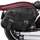 Distressed Leather Saddlebags