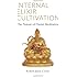 Internal Elixir Meditation: The Nature of Daoist Meditation