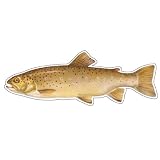 BROWN TROUT -Fish Decal- window sticker truck fishing