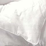 Review Northern Lodge Down Co.  / Allergy Free Northern SleepEasy Ultraloft Comforter, Full