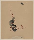 Reprint Vine with blossoms 1800