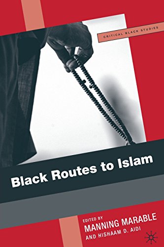 Black Routes to Islam (Critical Black Studies)