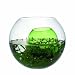 Leonardo 080161 - Set Vase Nemo mit Deko