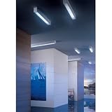 Buy Mac Ceiling Light Lights Bulb Finish: 1 Light 55 Watts Fluorescent Brushed Steel by OTY