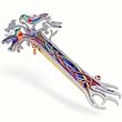 Tree of Life with Doves Mezuzah