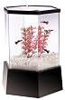 TOM Mini Hex - 1gal Aquarium Kit with UGF, Air Pump