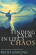 Finding Calm In Life's Chaos: Safe Shelter In The Arms Of Jesus