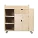 Guidecraft Art Activity Cart
