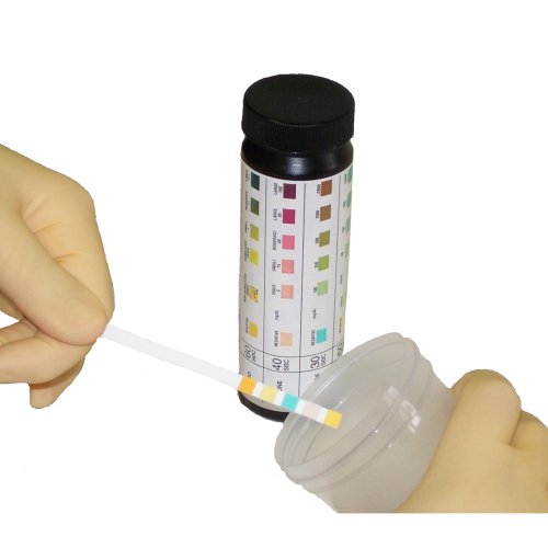 1 For Sale Multistix 10SG 10 Parameter Urine Reagent Test Strips