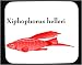 Mouse Pad with aquarium, fish