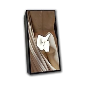 Caravelle Designs TC-83 Greek God Tissue Box Cover