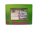 36 Packs of 4 inch x 6 inch hawaii frame