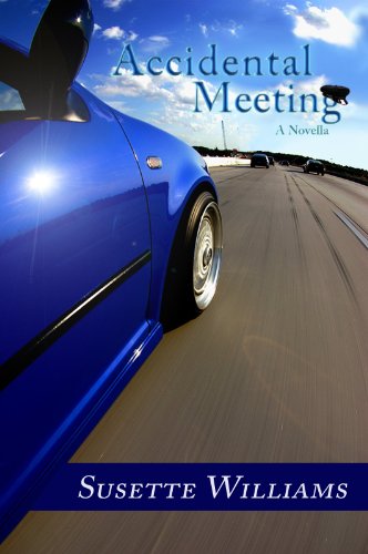 Accidental Meeting Accidental Meeting