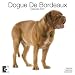 Dogue de Bordeaux 2010 Wall Calendar AP30460