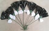Rosettes/Mane Flowers - Black & White