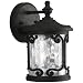 Progress Lighting P5910-80 Augusta Outdoor Wall Lantern in Forged Black