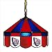Imperial New Jersey Nets Licensed 16-Inch Diameter Stained Glass Pub Light