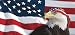 US Flag 1 Eagle Bandana rear window graphic