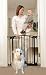 Bindaboo Walk-Thru Swing Metal Gate 29.5" H BLACK (BB1102)