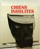 Chiens insolites->Cliquez ici pour obtenir des informations sur ce livre