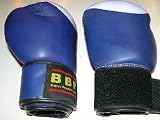 Boxing Gloves - COOL PURPLE - 10oz