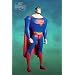 DC Direct Superman Doomsday Action Figure Superman