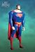 Search : DC Direct Superman Doomsday Action Figure Superman