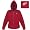 Detroit Red Wings NHL 